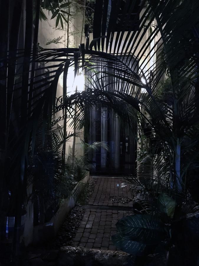 Colonia Americana Two Level Loft Guadalajara Exterior photo